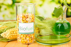 Blaney biofuel availability